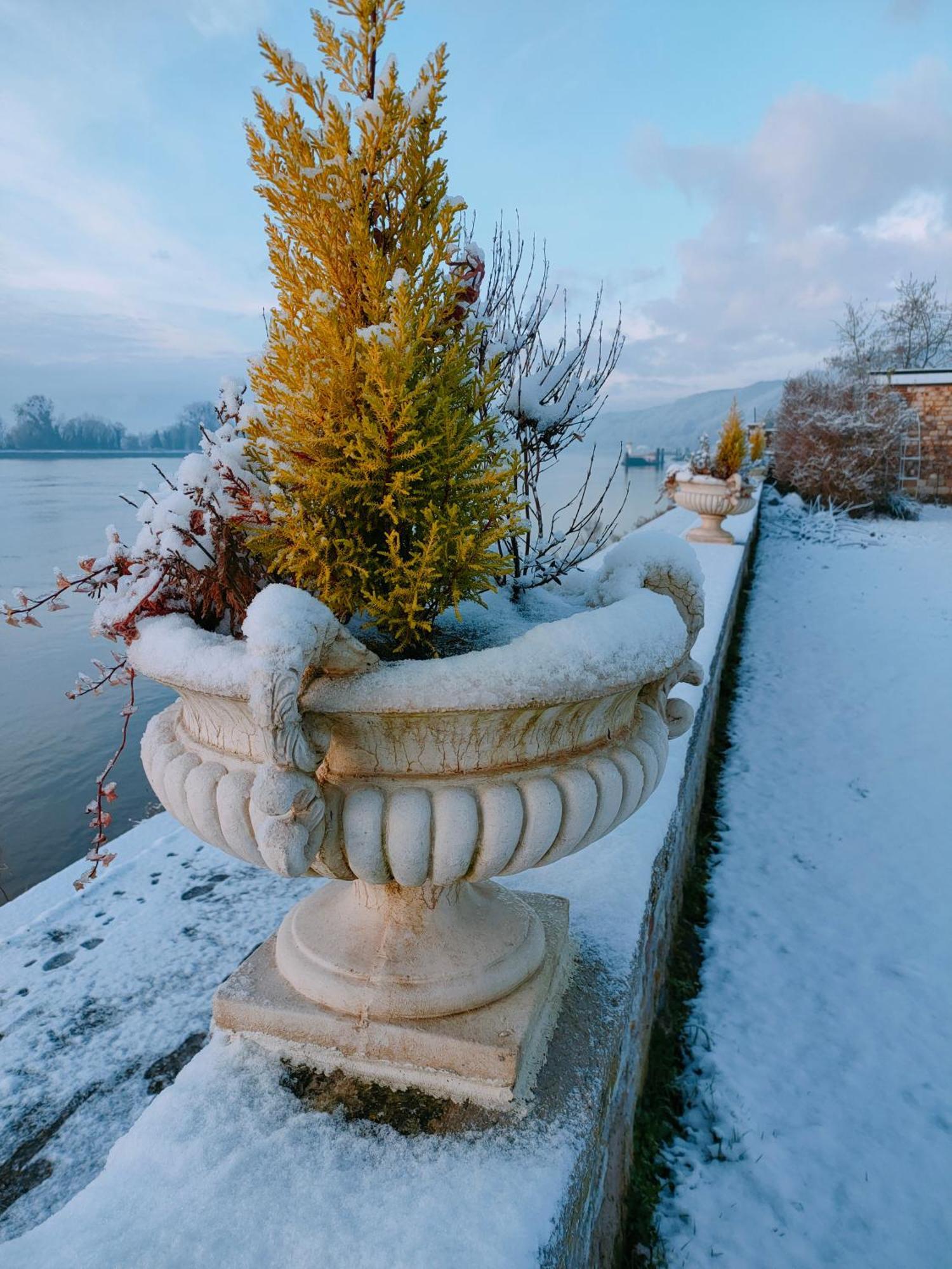 Demeure En Seine - Gites Et Chambres D'Hote En Bord De Seine Caudebec-en-Caux Oda fotoğraf